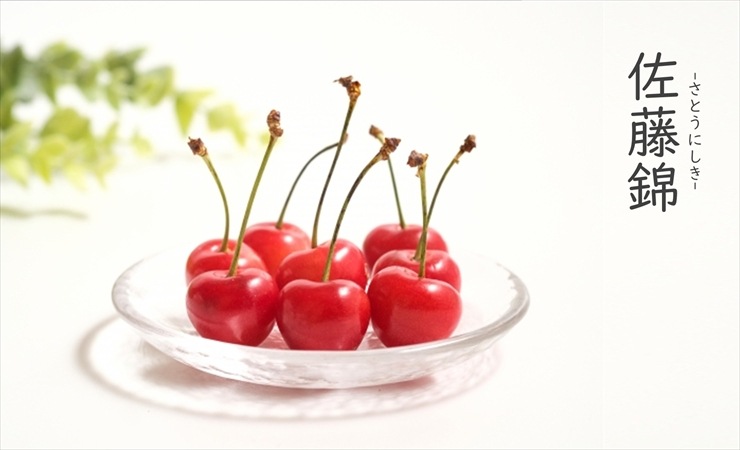 さくらんぼです。 5656ゼリー「さくらんぼ」 / おいしい山形プラザWEB